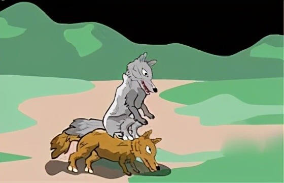 狼狈为奸狈这种生物真的存在吗它究竟是什么样的