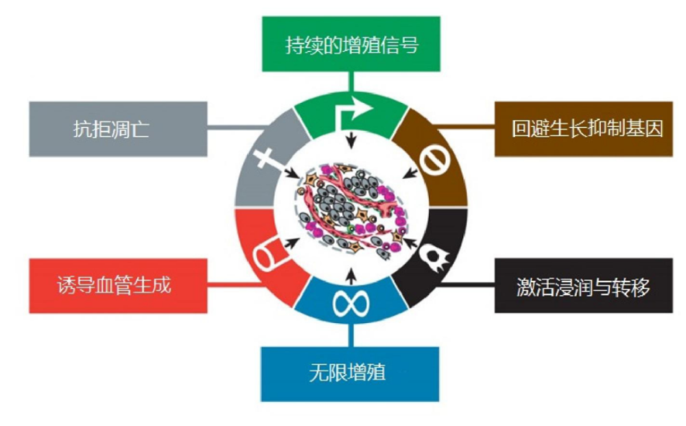 Hallmarks Of Cancer The Next Generation 新一代癌症的标志 腾讯新闻