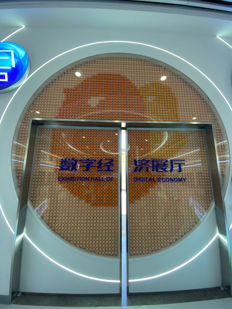 鸡品种排行_网易新游登顶各大排行榜,全新类型吃鸡游戏能否爆火