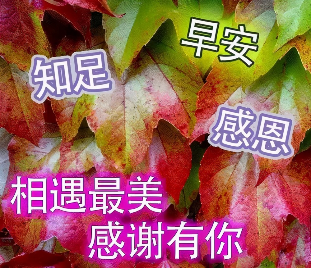 早上问候语带字祝福图片唯美暖心的早安心语