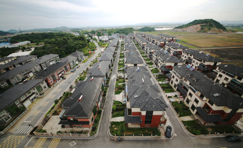 德清县东衡村党委书记章顺龙:打好改革创新牌 释放乡村振兴新动能