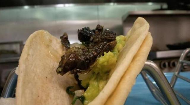 美国一些地区流行吃蝉,fda特别提醒:对海鲜过敏者别吃!