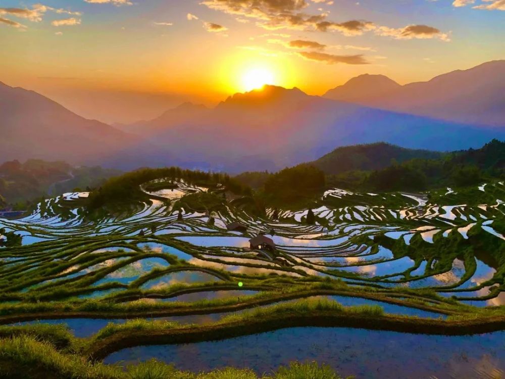 "光影秘境" 灌水期的云和梯田,是摄影爱好者必拍清单!_腾讯新闻