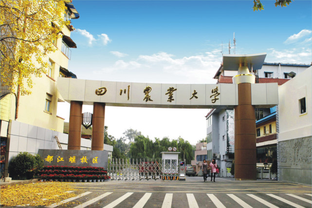 2021年招生动态川农停招11个专业在川增加225人有专业级差