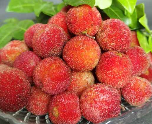 屡屡被质疑的杨梅 何时才能 扬眉 吐气 2