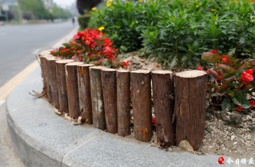 树木撑杆做成护栏保护绿化带又好看