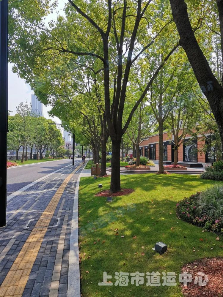 太嗲了上海这条道路变成了世外桃源在这里你可以诗意地栖居精品路