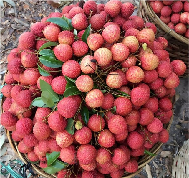 买荔枝时,选红的还是选青的,只要掌握这4点,一挑一个准