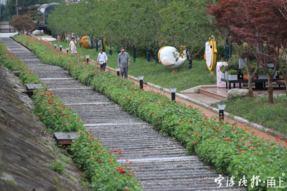 花漾鹂西藏在老旧社区的这条花路太美了