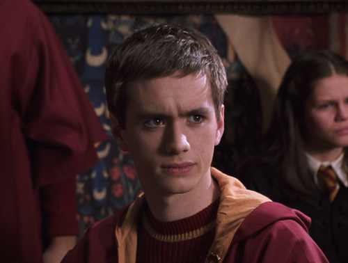 哈利波特最佳魁地奇队长top5领导力比技术更重要