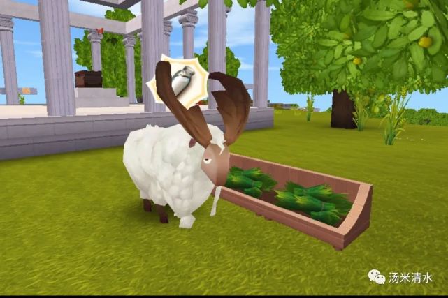 迷你世界新版本生物小知识猴子可以生宝宝