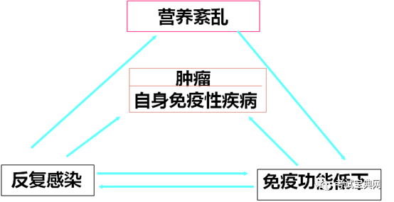 繼發性免疫缺陷病因交互作用--蛋白質-熱能營養不良--維生素和微量