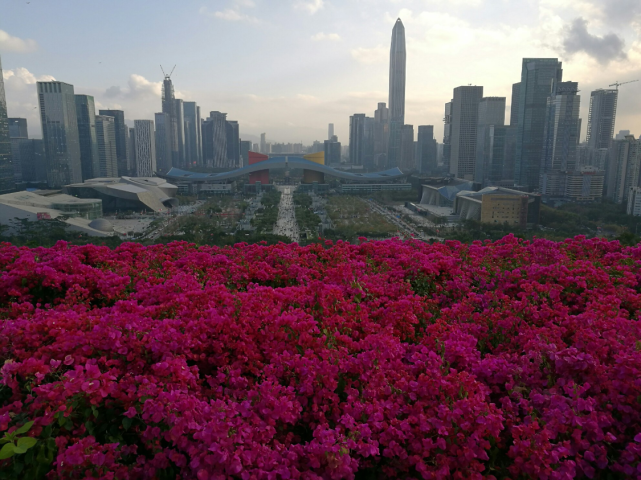 中国人口增量十大城市，北方仅2市上榜，第一名增加700多万人