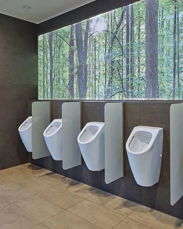 30平方公共厕所效果图图片