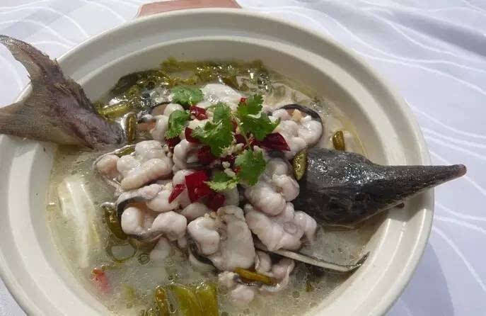 不被熟知的鲟龙鱼到底有多么神奇食用价值太悠久了