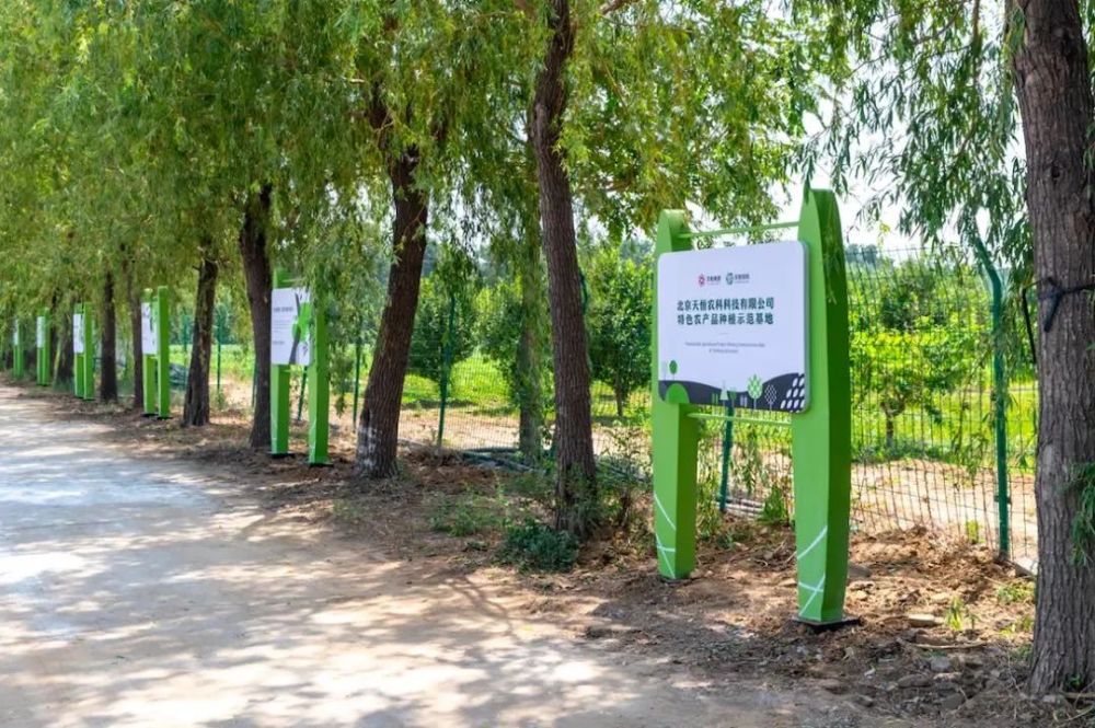 这儿有一个幸福农场承载我无处安放的农耕情怀