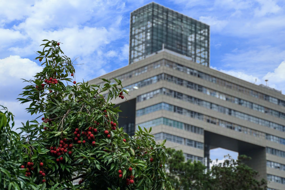 深圳大學怎麼樣?好不好?實力如何_騰訊新聞