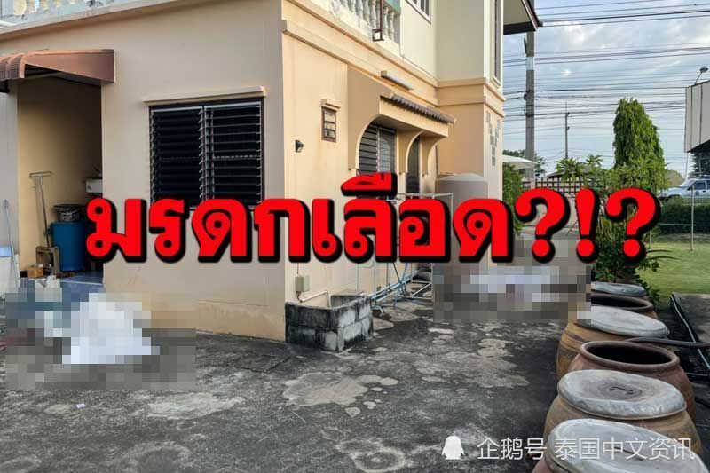 泰国孕妇谋杀案_泰国孕妇案件_泰国一孕妇利用警察妻子身份杀14人