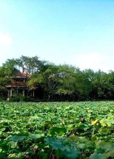 西临城市干道智谷大道;南临城市支道金履路;东临城市干道武侯大道铁佛