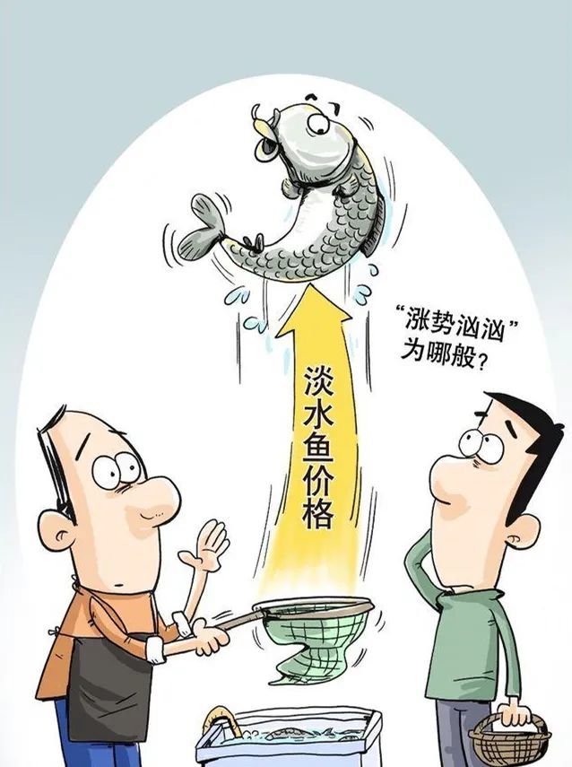 前段时间 我们一直在关心猪肉跌价的事情 结果一不留神 淡水鱼杀出