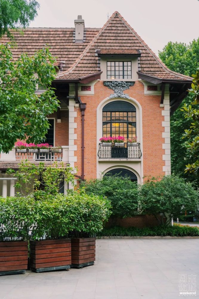 跟着他,打卡上海地标!_腾讯新闻