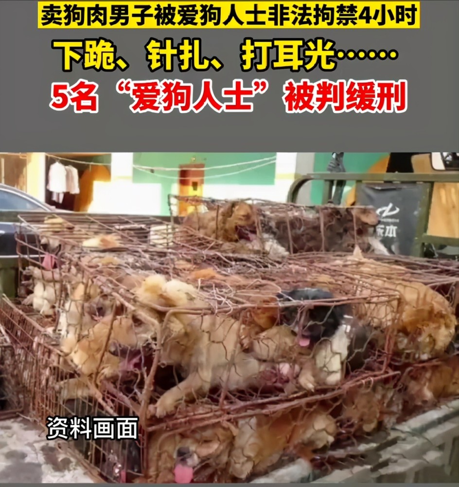男子被非法拘禁5名爱狗人士被判刑爱狗也不能胡作非为