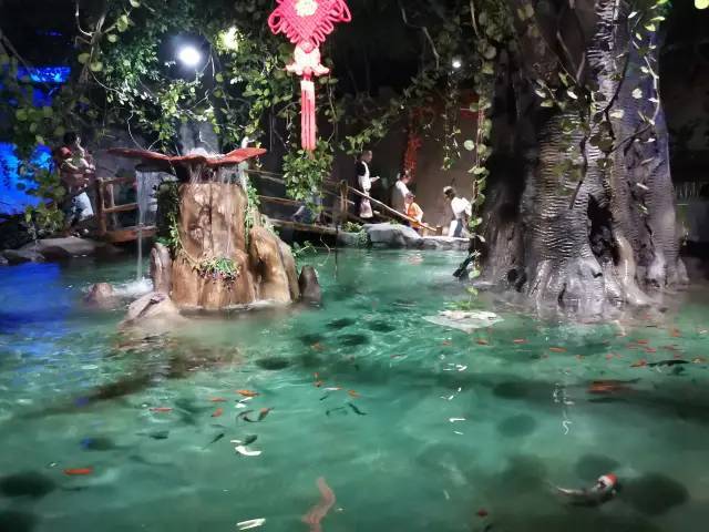 南充:某海洋公园这样揽客,遭市民吐槽