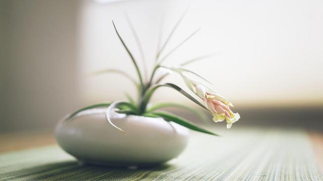 植物有 感情 吗 腾讯新闻