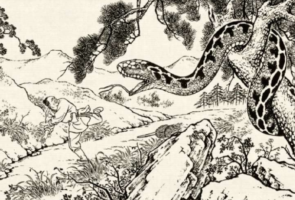 民间故事光棍汉帮蛇生崽胖大姐上门报恩这个妖怪有情义