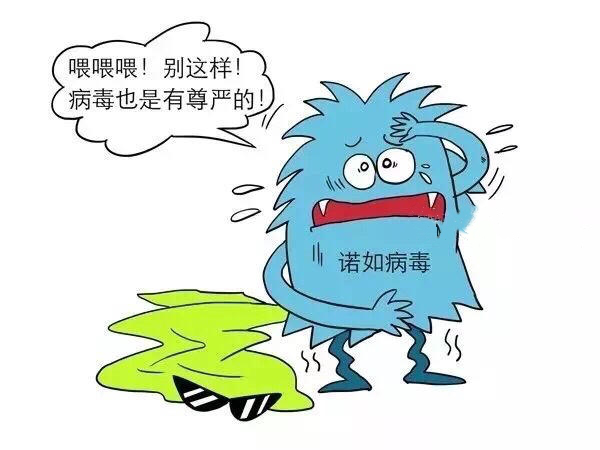 如何預防諾如病毒!_騰訊新聞