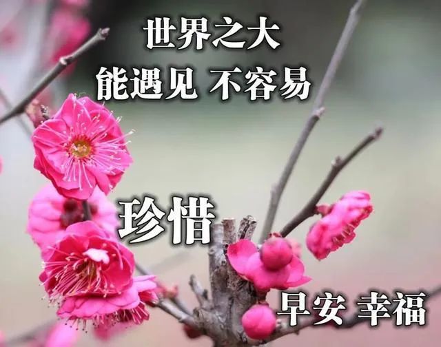 中老年早上好表情包大全我的朋友祝福您四季健康快乐