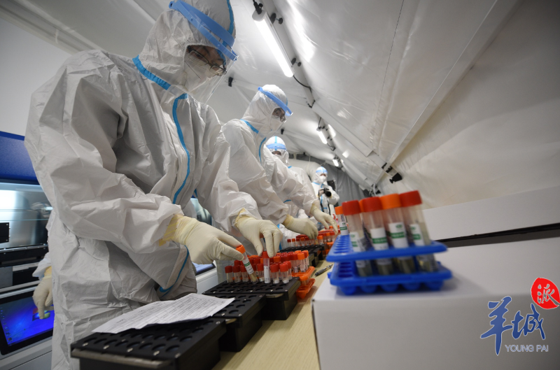 【图集】日检测产能达12万管!广州"猎鹰号"气膜实验室今晚起全面启用