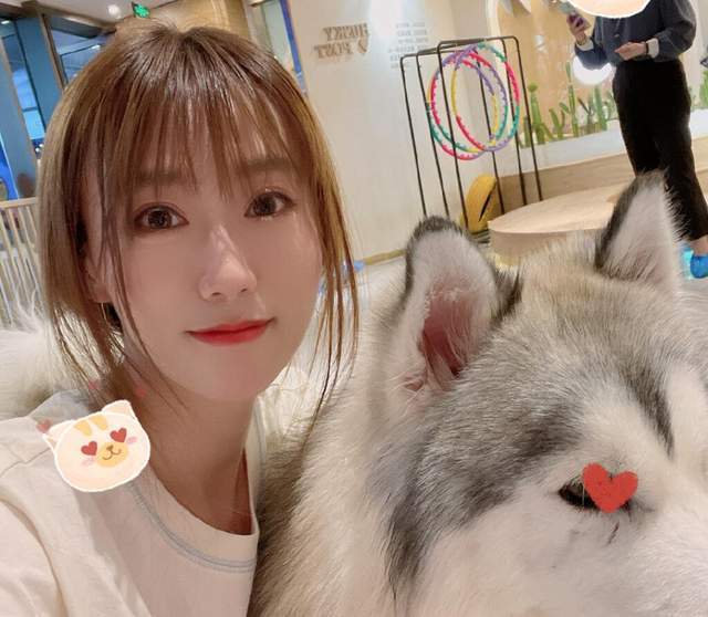 2板块人气最高的几个主播组成解说团队,分别有sccc,longdd,rotk,fy