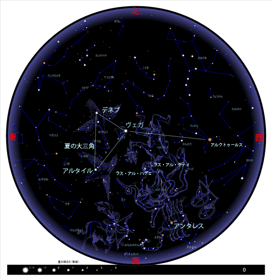 探索夏天的星座