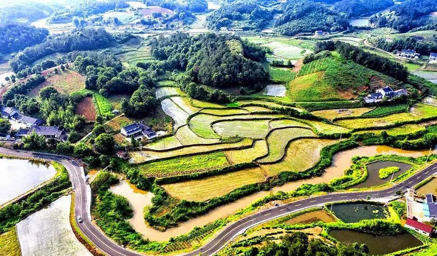 陈如平等,在荆当县委城工部长朱玉珩的策动下,发动士兵杀了乡长刘继祯