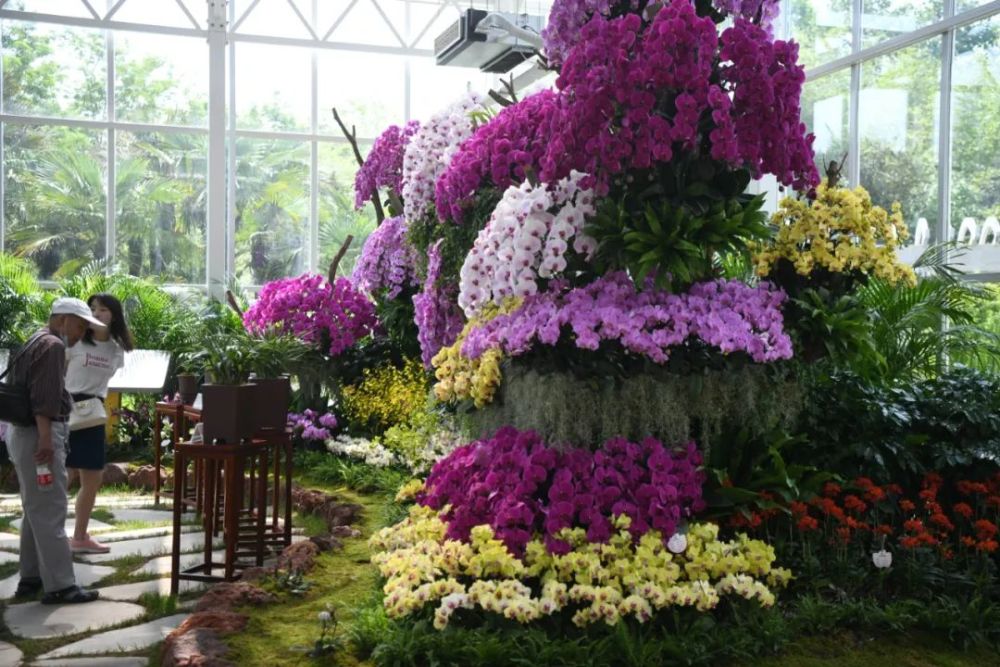 花博会南园别有洞天!这份攻略带您领略精彩