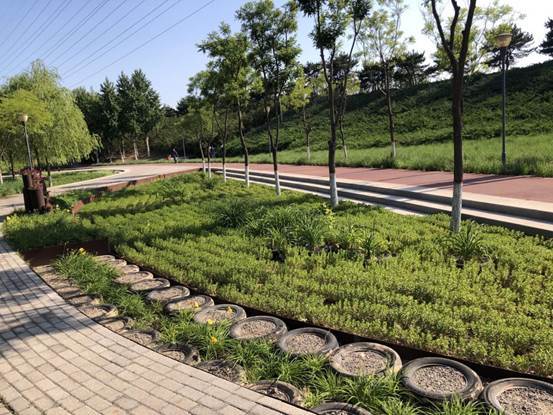 大国小鲜新发展理念用好水治好水迁安打造海绵城市