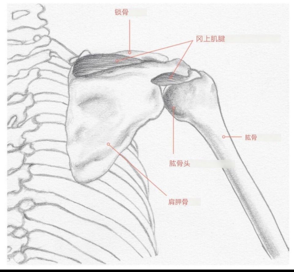 肩部正位技巧 让你的下犬式更舒适 腾讯新闻