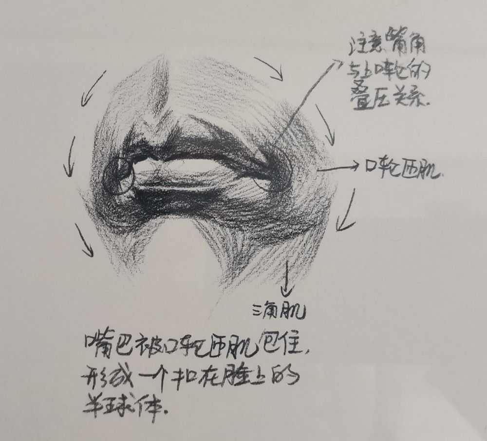 素描嘴巴的画法步骤图