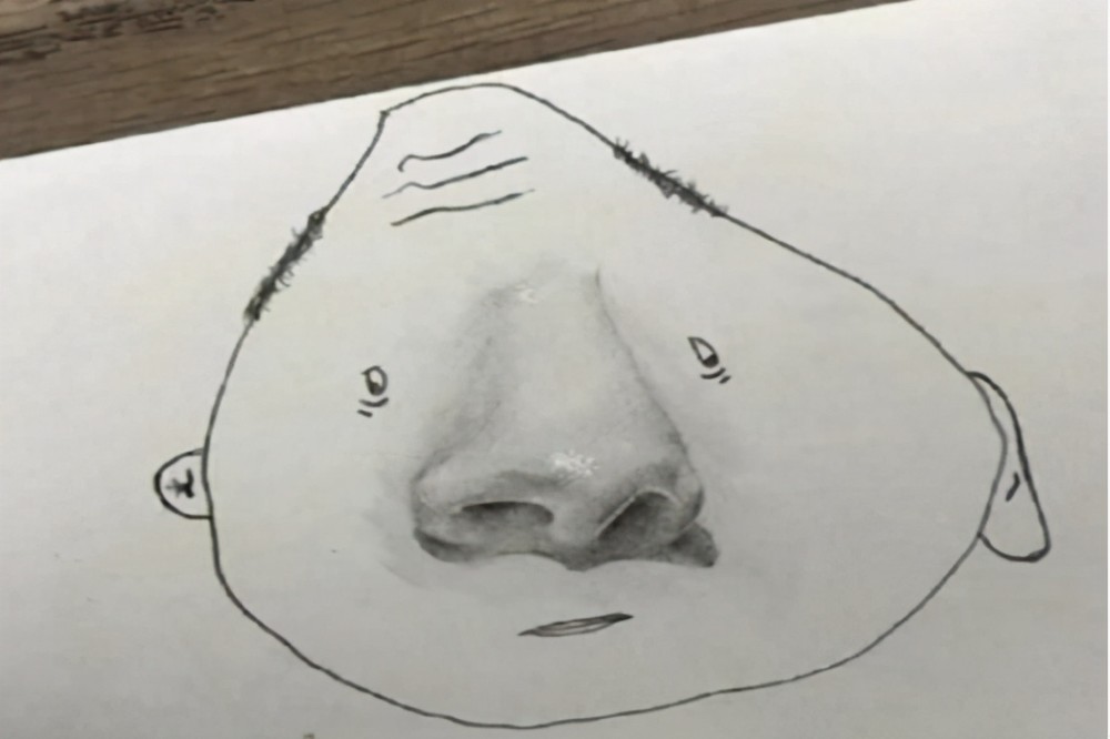 美术生的半成品画一半任性收尾网友表示怎么有点辣眼睛