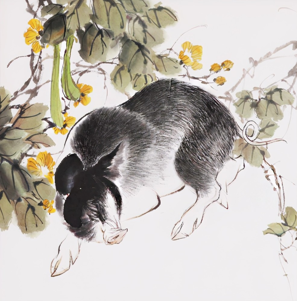 生肖猪眼下还有一个星期左右的时间就要到农历5月了,今年的时间过得