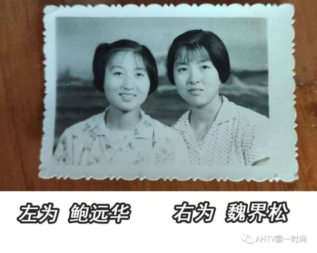 赵彩凤|怀远县|安徽|坠楼|孩子