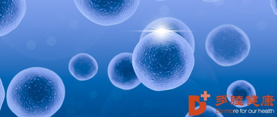 日本干细胞干细胞培养技术的优缺点