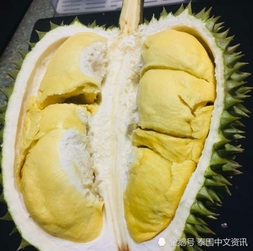 今年泰国尖竹汶府对华出口榴莲已逾45万吨