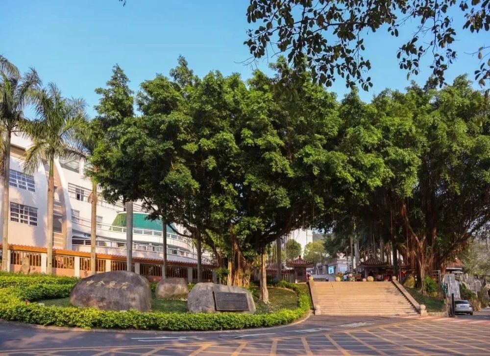 金中高一新生将到金中海湾学校就读一年,明年秋季返回原校区