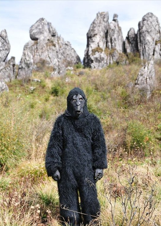 神农架野人再现100多考察人员围猎一年找到野人居住洞穴