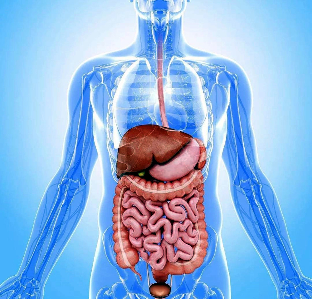 肝不好的人身体会有四个异常表现若没有你的肝脏很健康