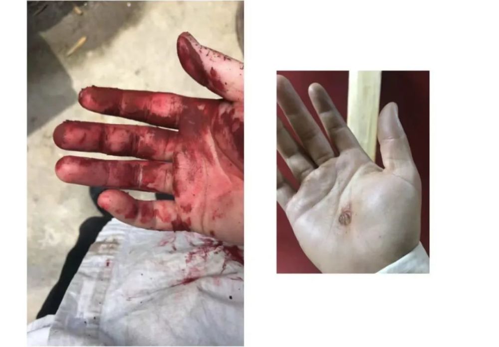 90后浙江女孩红了一人造故宫亭引围观你这手怎么长的