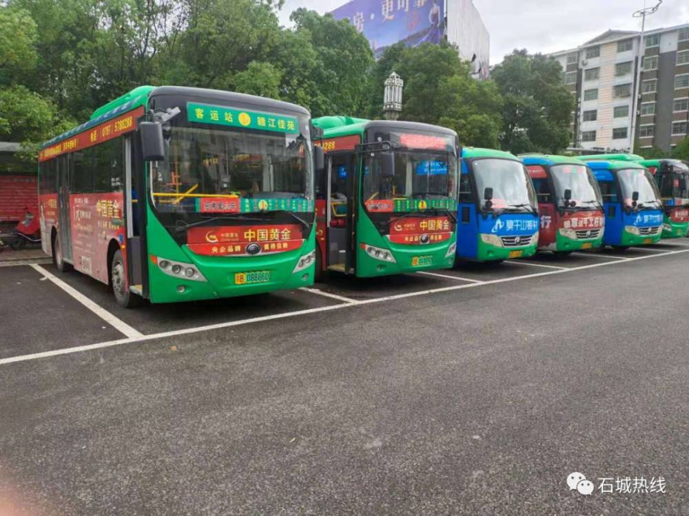 好消息石城公交高考考生免費乘坐公交車