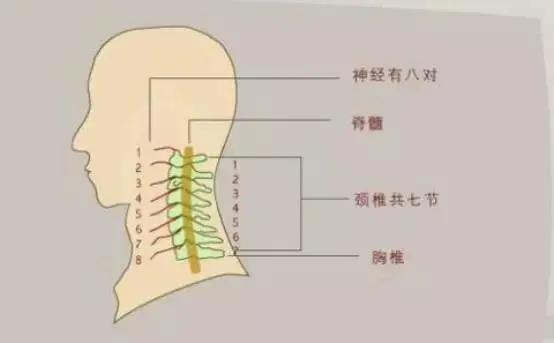 多的是你不知道的危险!